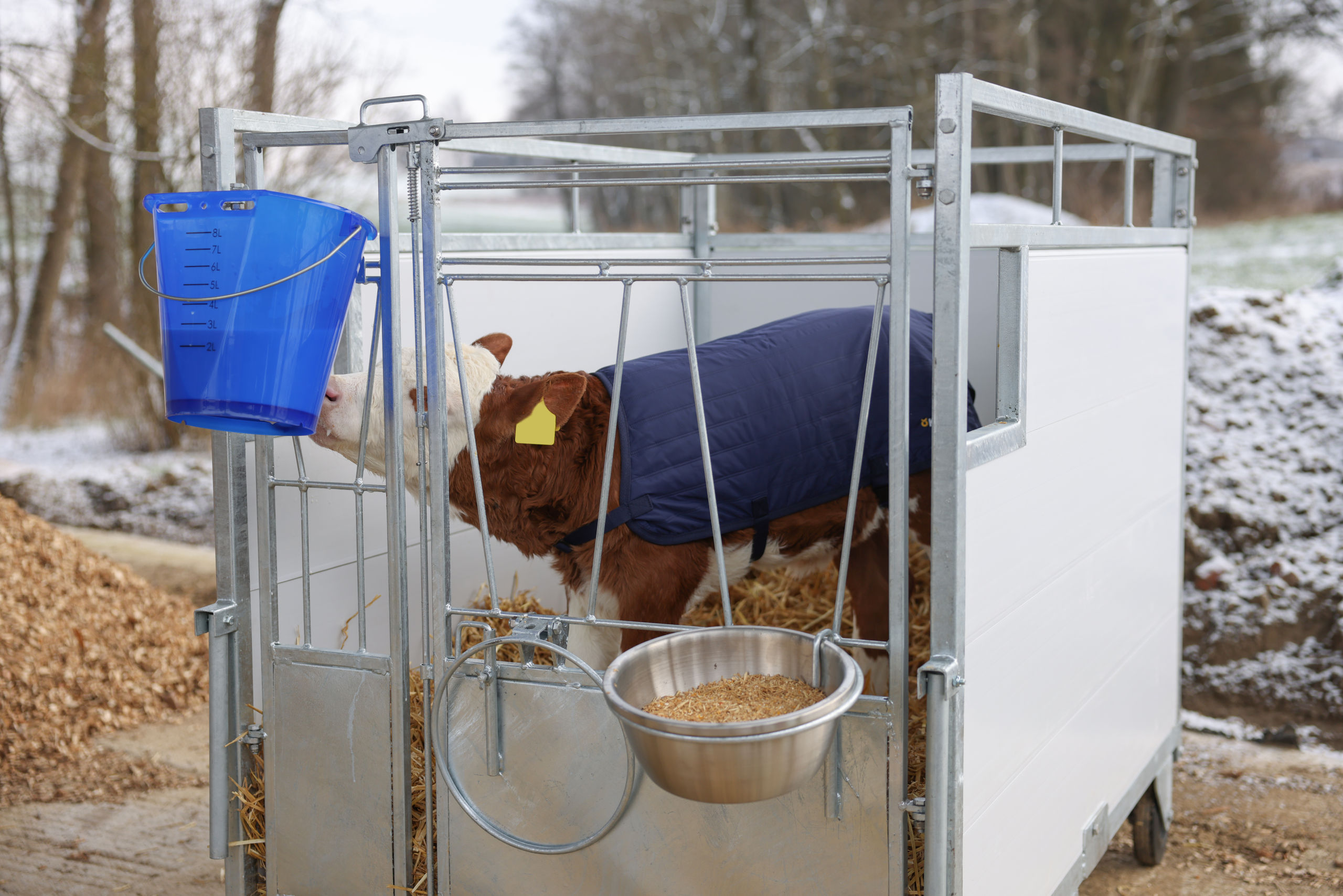 Kerbl Tränkeeimer blau transparent ohne Zubehör, mit Skala