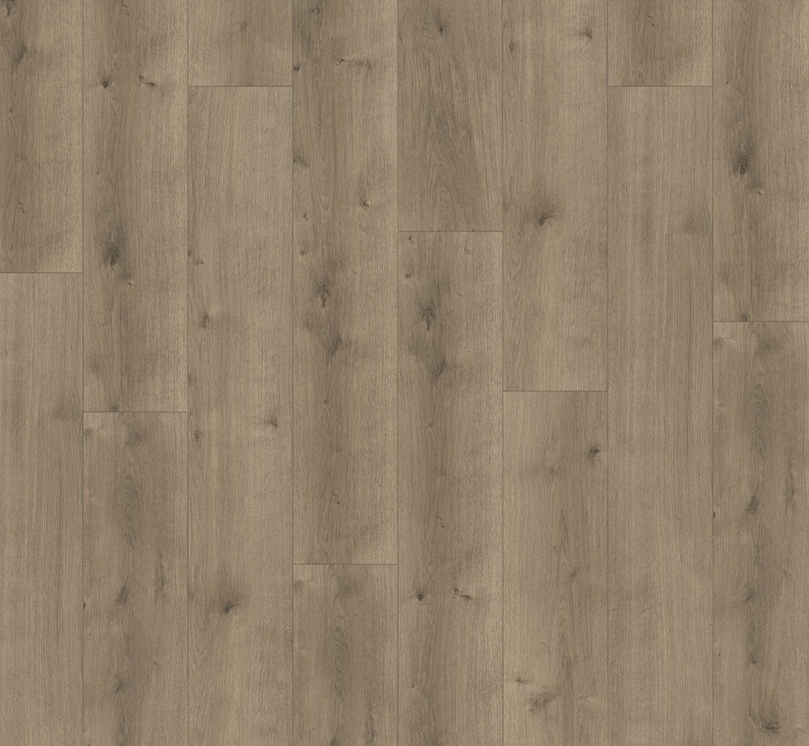 Parador Designboden Modular ONE Eiche pure perlgrau Parador Designboden Modular ONE Eiche pure perlgrau