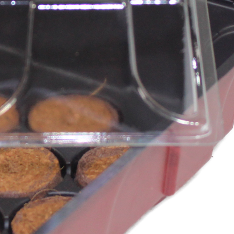 Windhager Fensterbank-Treibhaus, 19 x 19,5 x 11 cm Windhager Fensterbank-Treibhaus, 19 x 19,5 x 11 cm