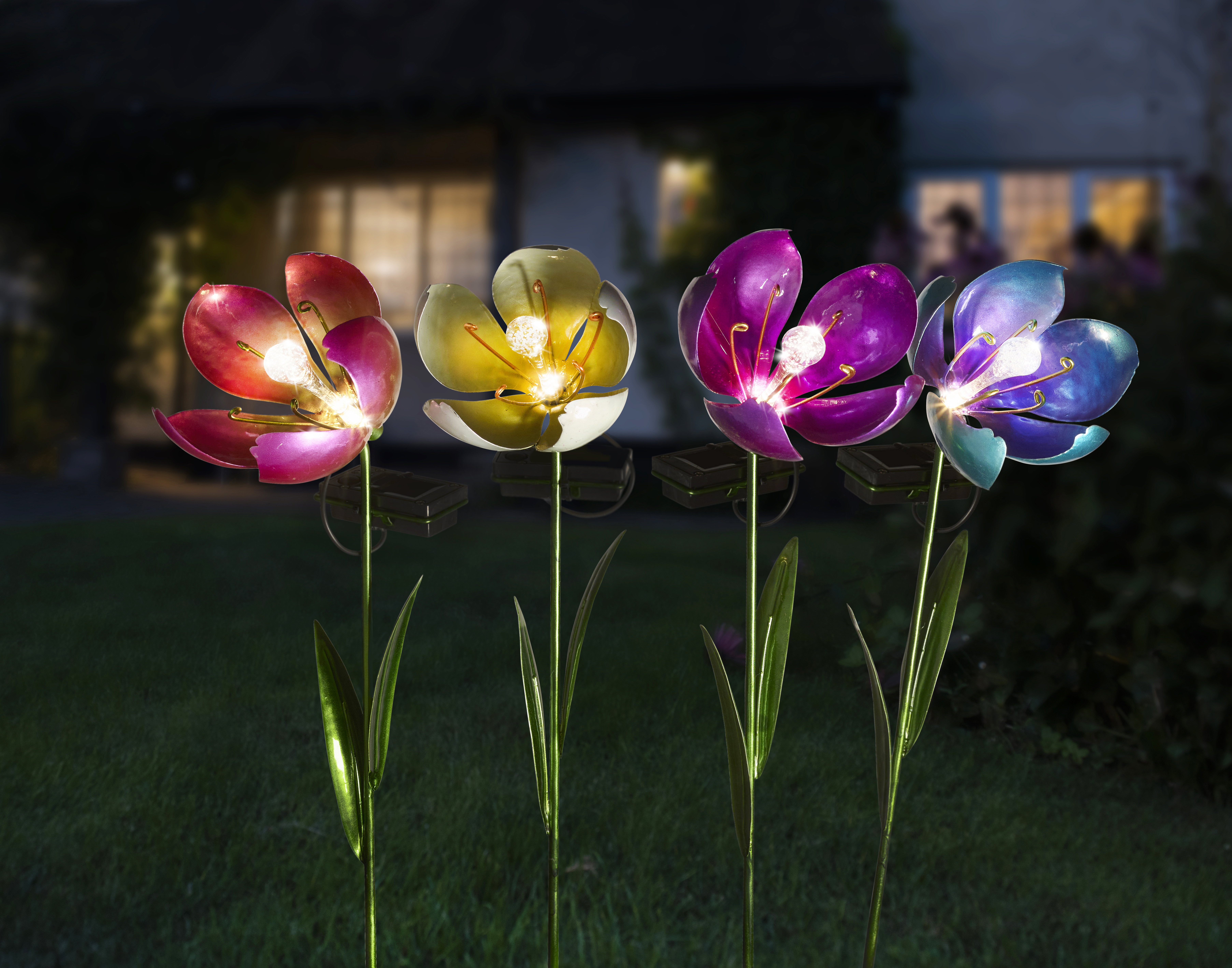 Smart Solar Blüte Smart Solar Blüte