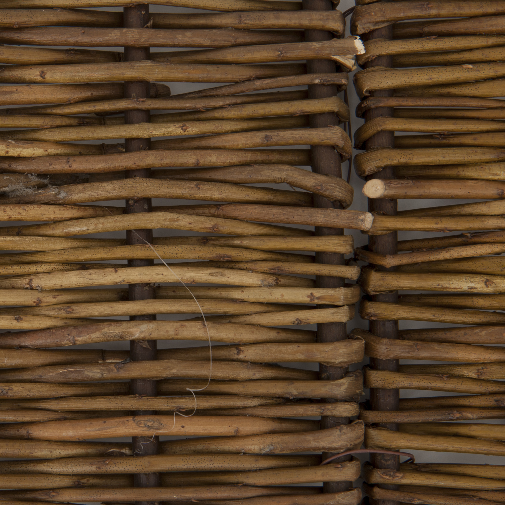 Windhager Beeteinfassung Weide, 5-teilig, 100 x 20/35 cm