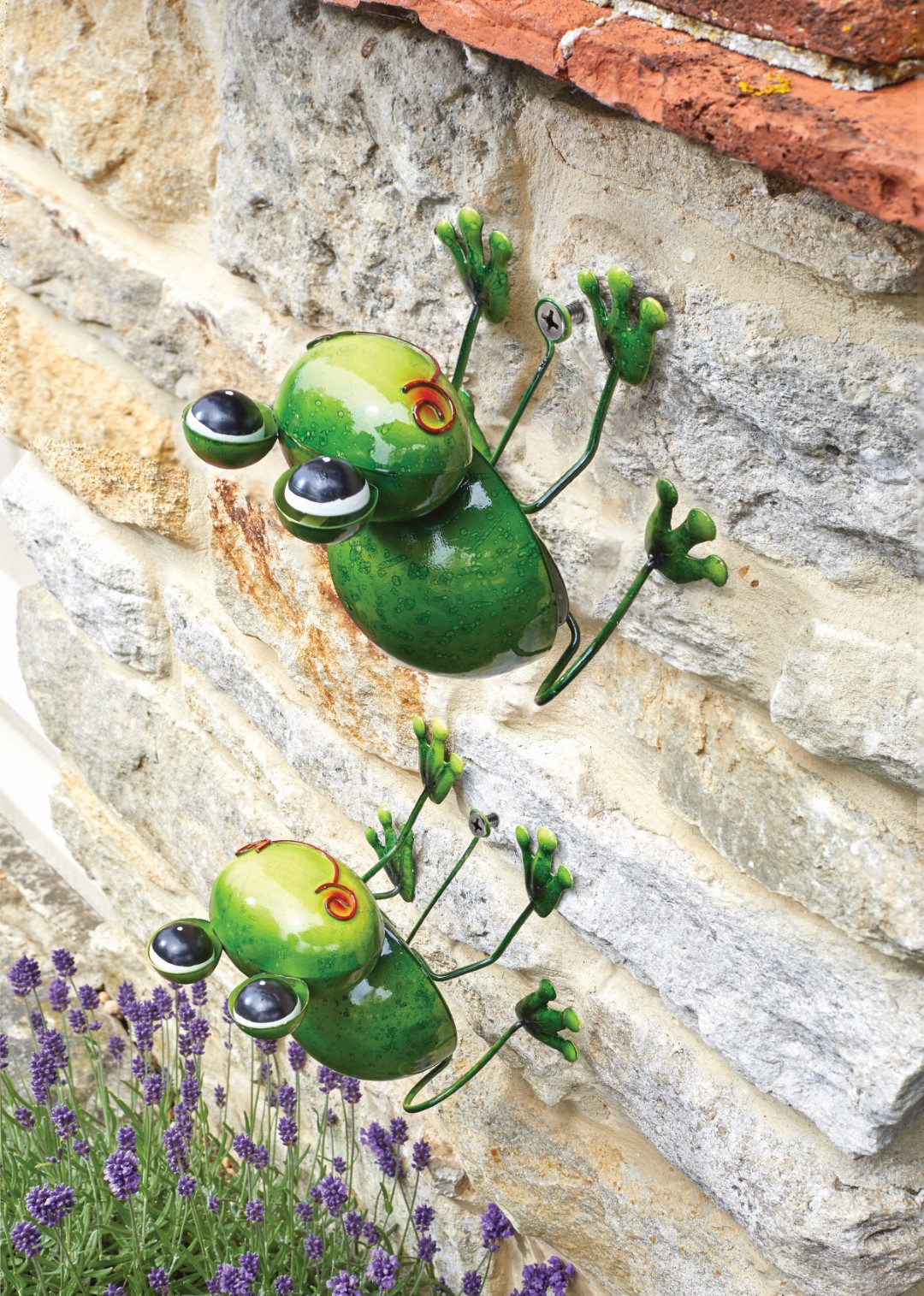 Smart Garden Aufhänger Frosch Medium