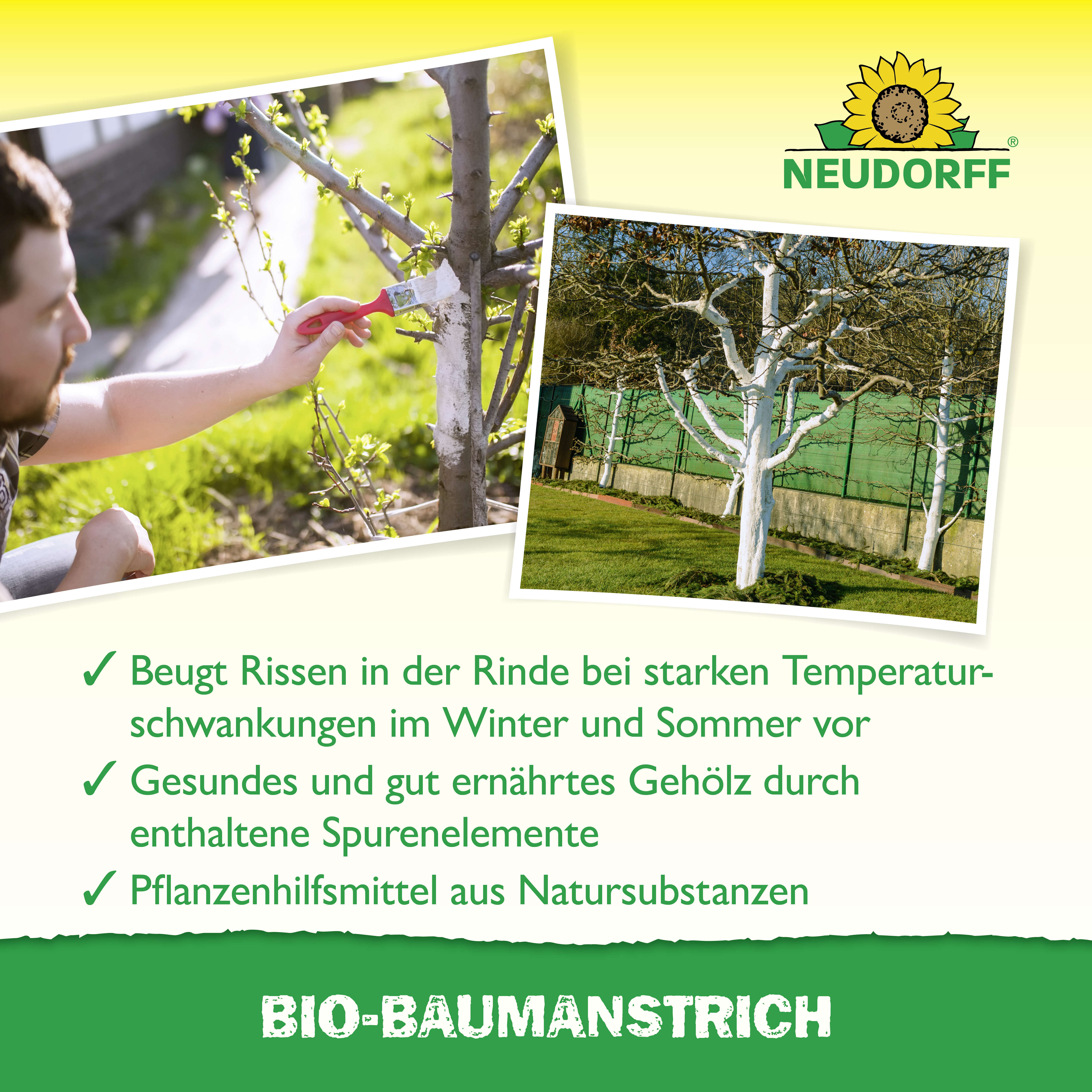 Neudorff Baumanstrich, 2 l