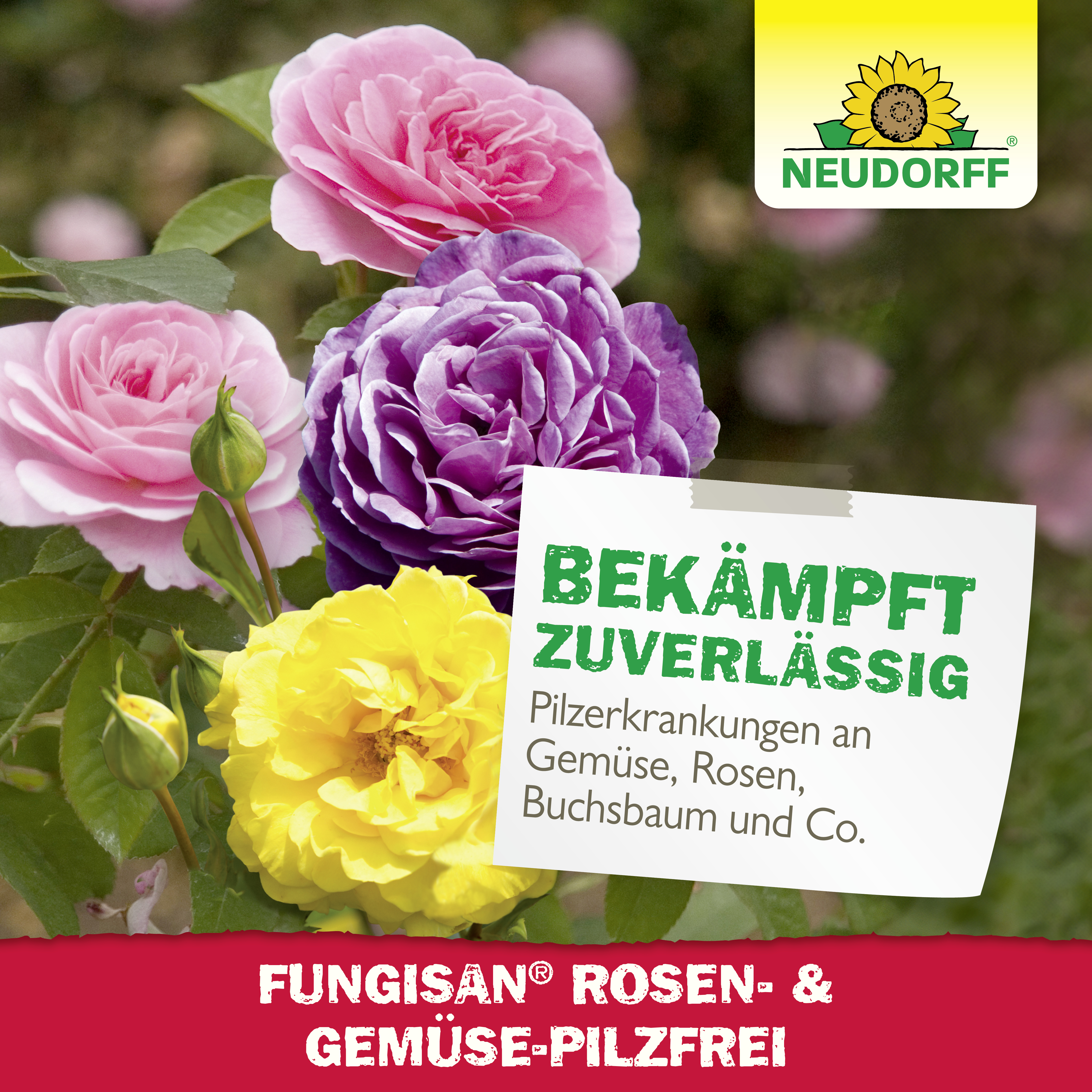 Neudorff Fungisan Rosen- und Gemüse-Pilzfrei, 16 ml
