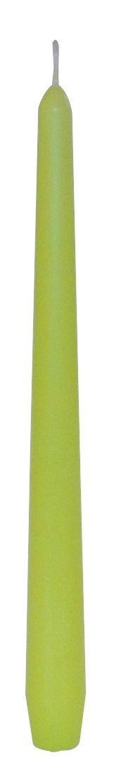 GALA SPITZKERZE BIRKE