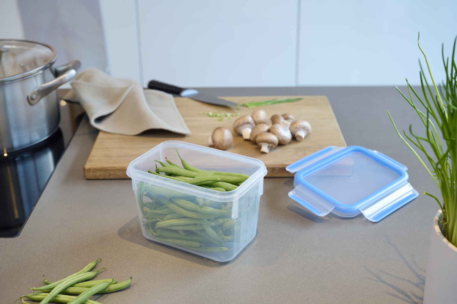 EMSA Clip & Close Frischhaltedose 1,1 L, rechteckig EMSA Clip & Close Frischhaltedose 1,1 L, rechteckig