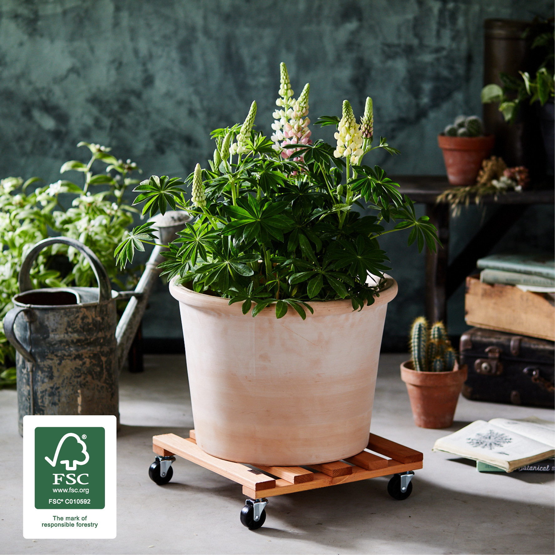 Wagner Multi Roller GH 0421, 380 x 380 mm, kiefer Wagner Multi Roller GH 0421, 380 x 380 mm, kiefer