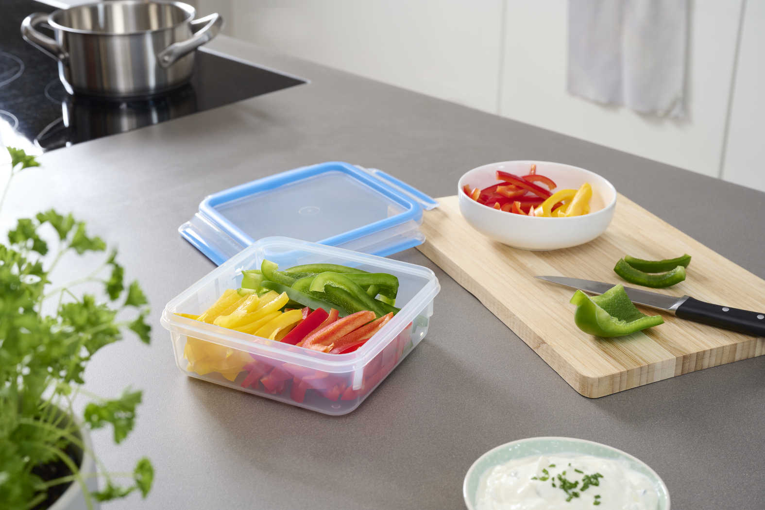 EMSA Clip & Close Frischhaltedose 0,85 L, quadratisch EMSA Clip & Close Frischhaltedose 0,85 L, quadratisch